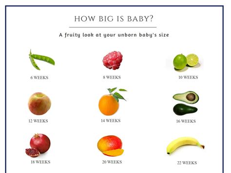 How Big is Baby Pregnant Fruit Baby Size 'poster' Pdf - Etsy