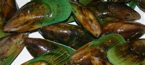 What Green Lipped Mussel Dosage is Best? | Green lipped mussel, Mussels, Steamed mussels