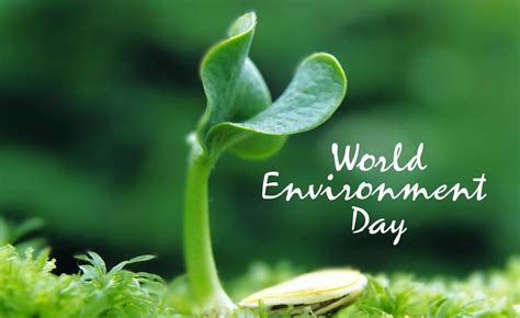 WORLD ENVIRONMENT DAY JUNE 2018 - Ecotourism Kenya