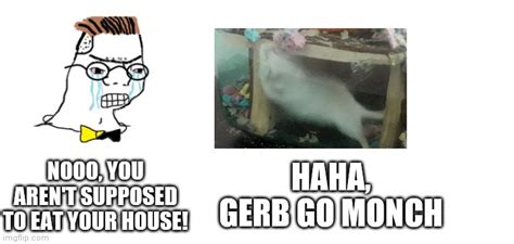 A low quality Gerbil meme I made. Enjoy! : r/gerbil