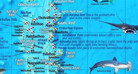 Maldives Map & Dive Guide – Franko Maps