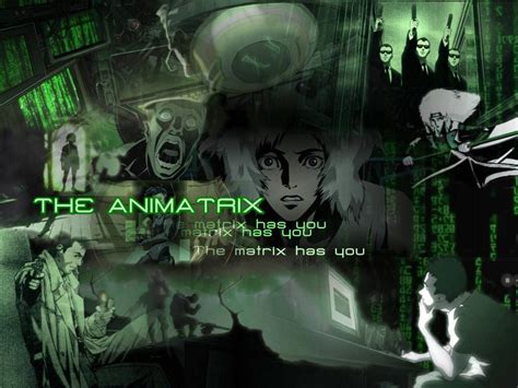 The Animatrix Wallpaper HD Download