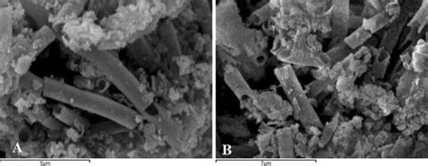 Iron nitride (a) obtained at 500 °C, and iron (b) microtubes reduced at... | Download Scientific ...