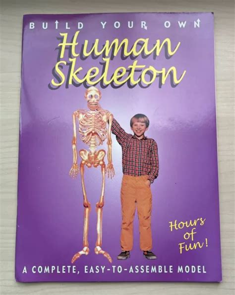 BUILD YOUR OWN Human Skeleton : A Complete Easy-to-Assemble Model (2002, Kit) $19.99 - PicClick