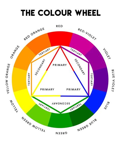 The Color Wheel In Color Assessment Color Wheel Color Color Theory | Porn Sex Picture