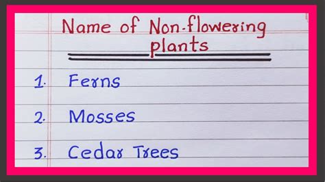 10 Names Of Non Flowering Plants - Infoupdate.org