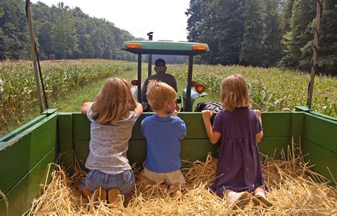 Best Hayrides, Corn Mazes, and Pumpkin Patches in Houston