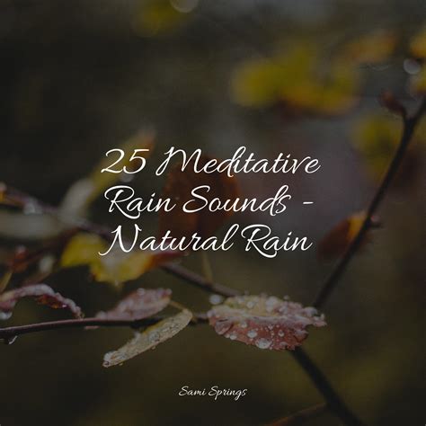 25 Meditative Rain Sounds - Natural Rain - Egyptian Meditation Temple ...