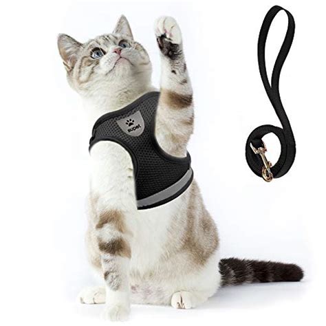 11 Best Cat Harnesses in 2021 - Top Rated