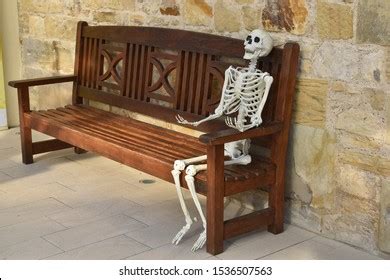 Human Skeleton Sitting On Bench Foto de stock 1536507563 | Shutterstock