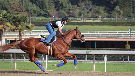 How To Train Like An Olympic Level Horse Jockey | It's Harder Than You ...