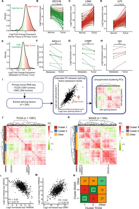 Co-regulated gene expression of splicing factors as drivers of cancer