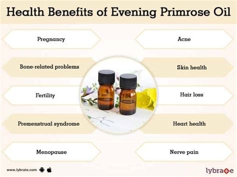 Evening Primrose Oil Benefits And Its Side Effects | Lybrate