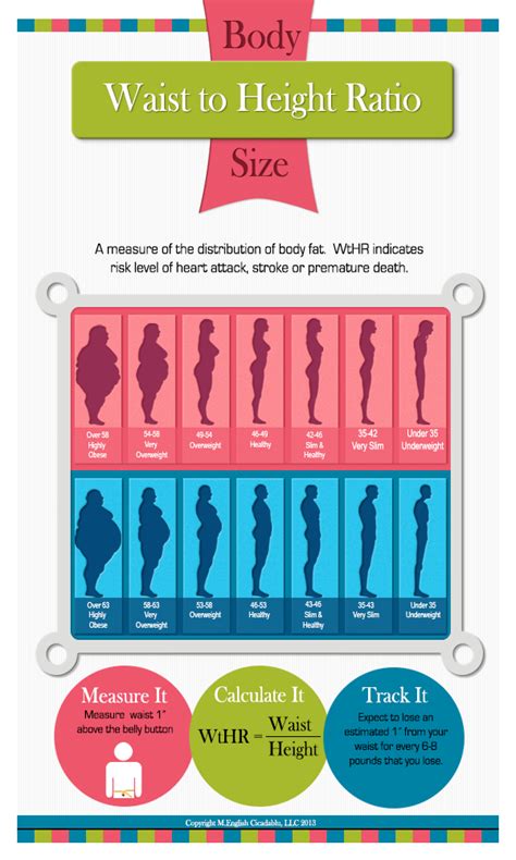 What Is Waist to Height Ratio? (Infograph) | Inside Out | Lose 15 ...