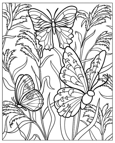 Small Butterfly Coloring Pages at GetDrawings | Free download