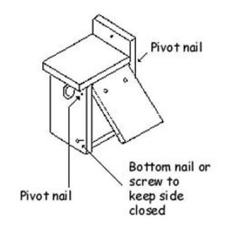 Fun and Easy Bird House to Build | Cool Woodworking Plans