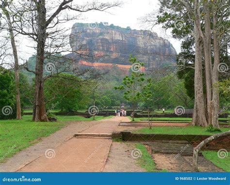 Sigiriya lion rock stock photo. Image of tropics, sigiriya - 968502