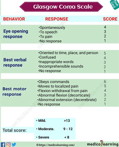 Glasgow Coma Scale Glasgow Coma Scale Nurses Notes Nursing School | Porn Sex Picture