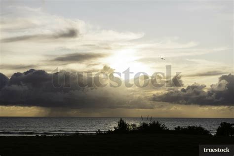 New Plymouth Beach by Brad Hanson - Truestock