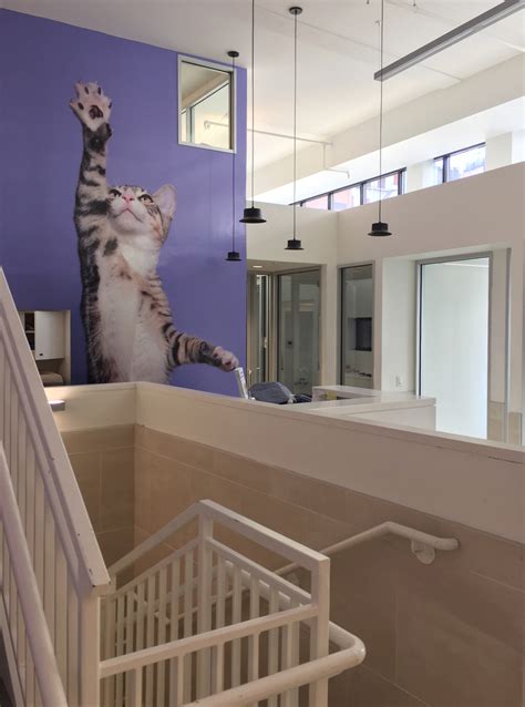 Animal Haven Adoption Center | U.S. Green Building Council