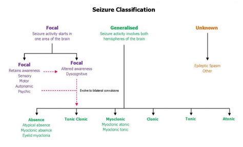 Seizure Types | Emergency Care Institute