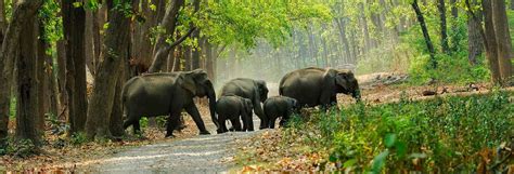 FAQ - Corbett Tiger Reserve