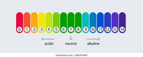 Ph Scale Chart Acid Alkaline Solutions Stock Vector (Royalty Free ...