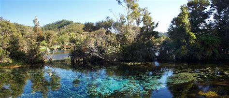 Te Waikoropupu Springs Scenic Reserve: the largest freshwater springs in the southern hemisphere ...