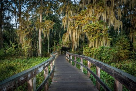 Explore The Hidden Gem Phinizy Swamp Nature Park In Georgia