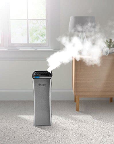 The 5 Best Air Purifier-and-Humidifier Combos in 2021