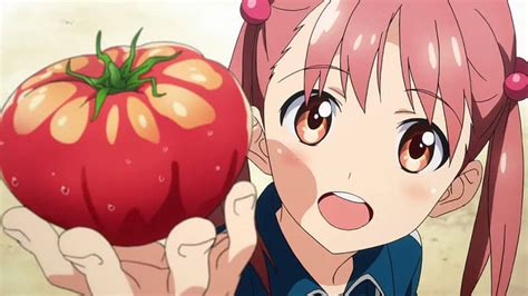 Fresh Tomato, momo isshiki, adorable, isshiki momo, sweet, momo, fruit, close up, HD wallpaper ...