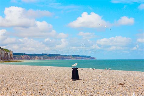 Cliffs and beach in Dieppe stock photo. Image of hill - 112998514