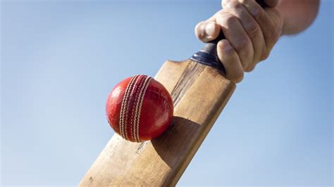 What is a cricket ball made of and what are the types? | The US Sun