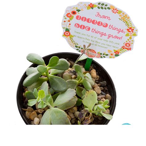 Thank You -Plant Gift Tag | Top Teacher