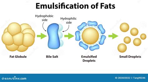 Emulsification Cartoons, Illustrations & Vector Stock Images - 51 ...