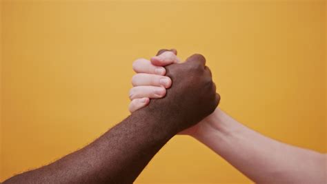 Black and White Hands Holding Stock Footage Video (100% Royalty-free) 1060345436 | Shutterstock