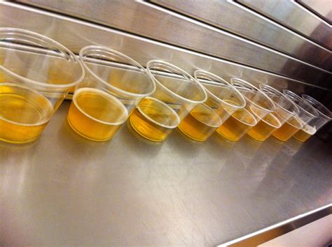 Yeast Experiment | Nordeast Brewers Alliance