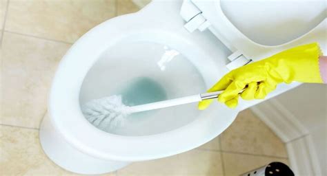 Vinegar in the toilet solves an annoying and very common problem: try it now – Tips & Tricks