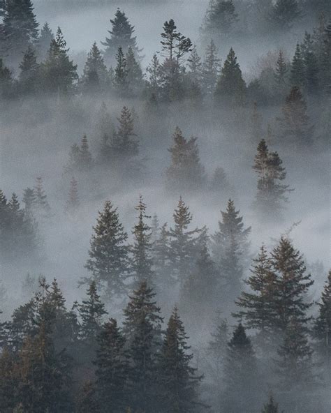 Fog Photography: Tips You Need to Know - 42West