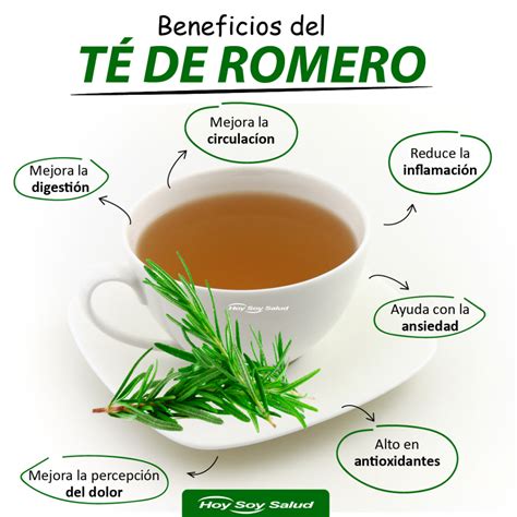 ROMERO: Sus Beneficios para Mejorar la Salud y Preparación HOYSOY.NET ️