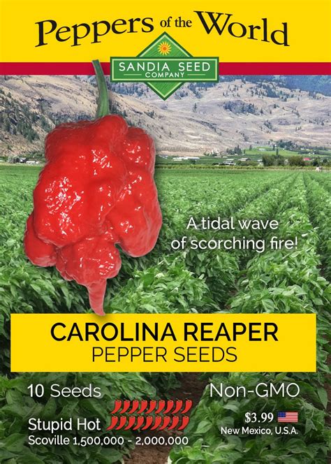 Carolina Reaper Seeds - Best Germination – Sandia Seed Company