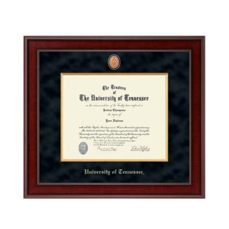 Gold Embossed Diploma Frame in Gallery | HoundDogs of Knoxville