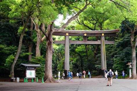 Tokyo Japan 01 June 2016 : Meiji-jingu Editorial Photography - Image of oriental, park: 73621107