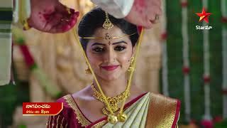 Naga Panchami - Episode 43 Telugu TV Serial 15 May 2023| MaaTv Telugu ...