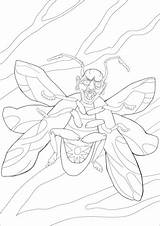 Adze coloring page  Free Printable Coloring Pages sketch template