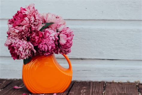 Free Images : petal, vase, orange, spring, red, garden, pink, floristry, flowering plant, flower ...