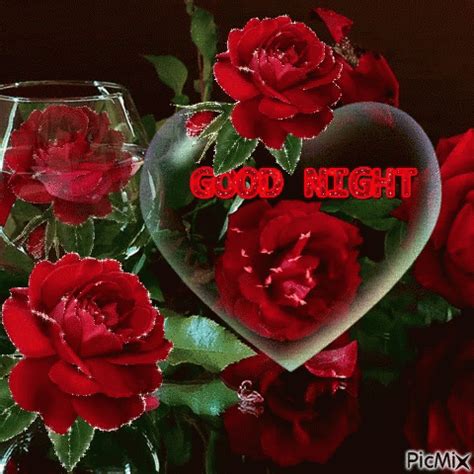 Good Night Rose GIFs | Tenor