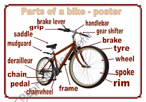 Parts of a bike - Poster + name the parts (two pages) - ESL worksheet by piszke