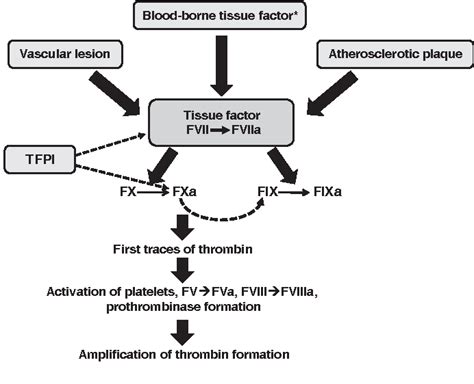 Rivaroxaban Mechanism Of Action