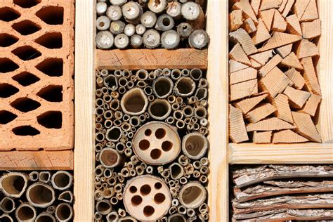 DIY: How to Build an Insect Hotel from Found Materials Ladybug tube home – Inhabitat - Green ...